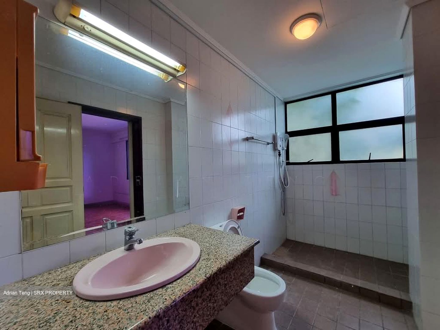 Paya Lebar Crescent (D19), Semi-Detached #558134301